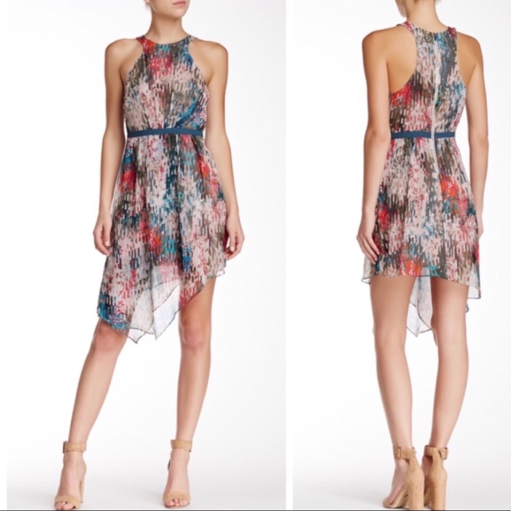 Elizabeth and James Liv Asymmetrical Silk Dress